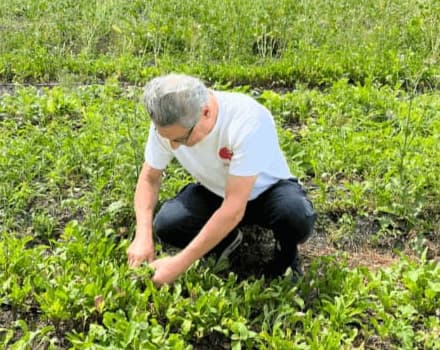 Chef Piero Menegazzi of Pomodoro